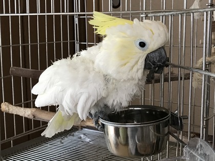 170503_IMG_0592.JPG