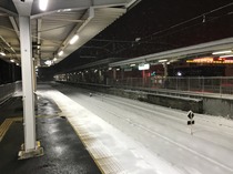 180122_IMG_1726.jpg