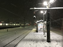 180122_IMG_1741.jpg