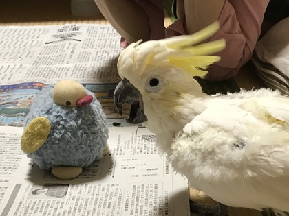 190830_IMG_1266.JPG