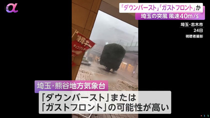 240726_fnn_301_2.JPG