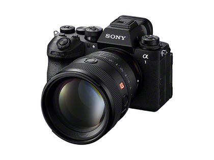 241119_sony_ILCE-1M2_with_SEL85F14GM2.JPG