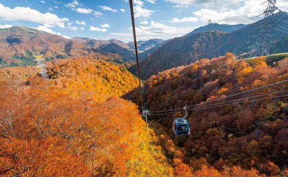 250111_princehotels_naeba_dragondola_autumn_img02.JPG