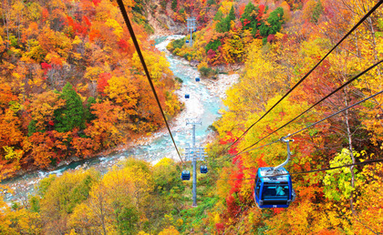 250111_princehotels_naeba_dragondola_autumn_img03.JPG