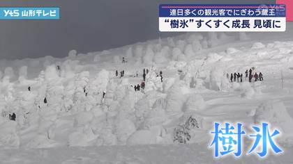 250121_yts_news_301_02.JPG