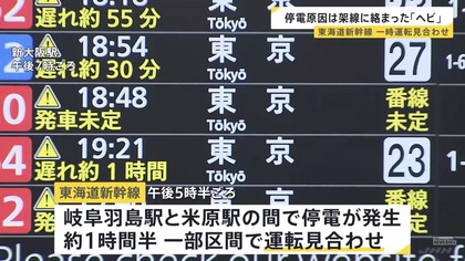250430_newsdig_tbs_301_01.JPG