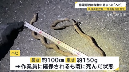 250430_newsdig_tbs_301_03.JPG