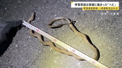 250430_newsdig_tbs_301_04.JPG